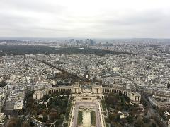 Eiffel Tower View