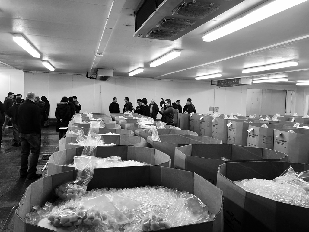 Seafood Expo - Retail Tour 4 - Ice Storage