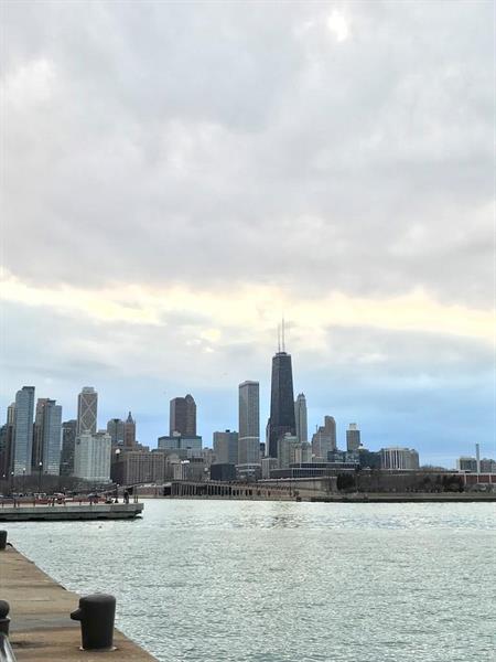 MD- Misc - Chicago Skyline