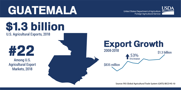 Guatemala FAS infographic