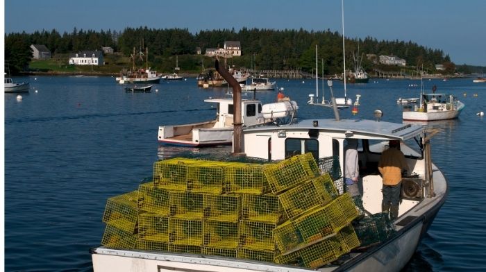 Serving Up American Lobster Products to Chefs in Mexico