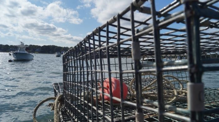 Connecting Oyster Farmers to International Buyers