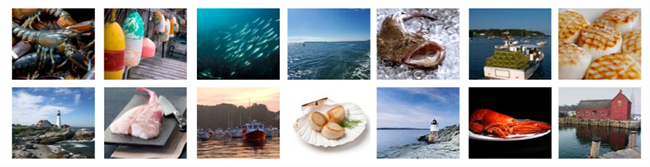 Seafood Blog Header