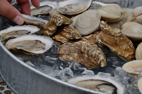 oyster_half_shell_tray_ice_3