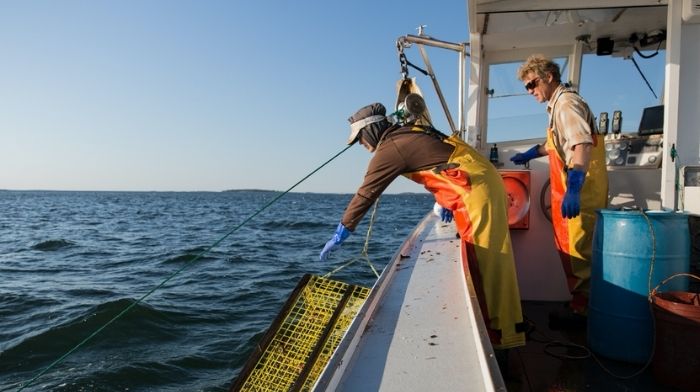 Import Seafood from U.S