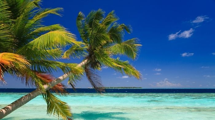 Dominican Republic